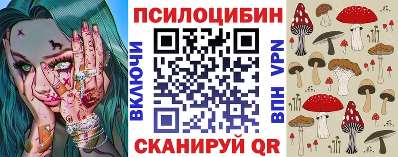 Галлюциногенные грибы Psilocybe  Ржев 